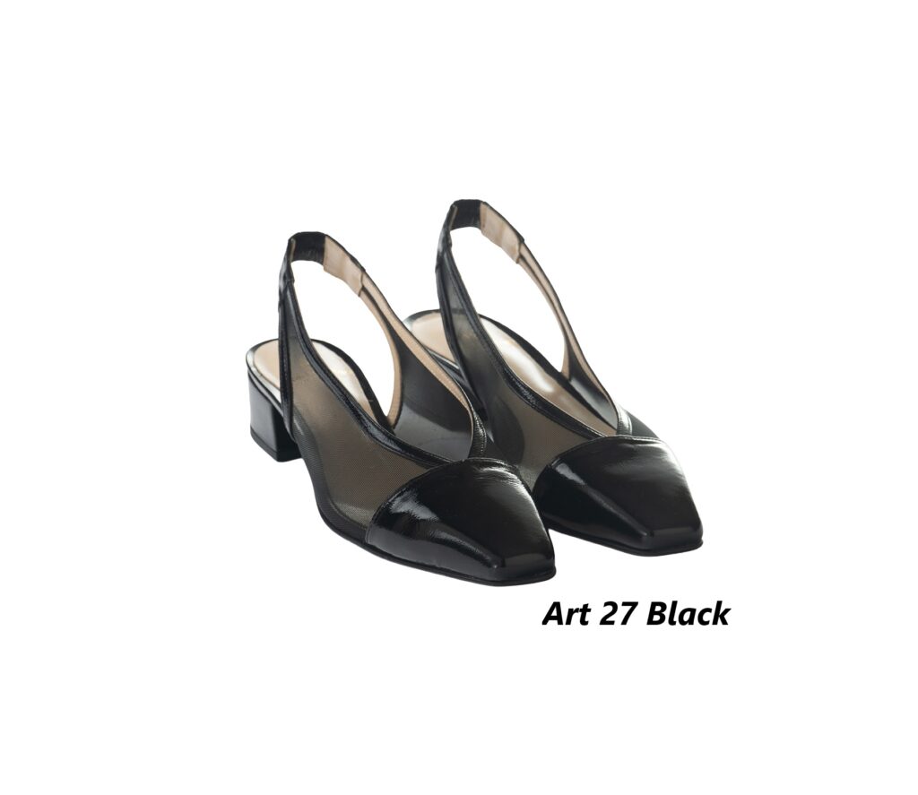 art 27 1